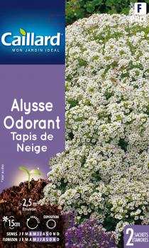 ALYSSE ODORANT TAPIS DE NEIGE