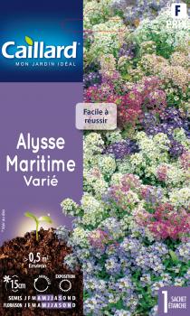 ALYSSE ODORANT MARITIME VARIE