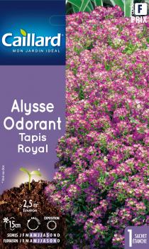ALYSSE ODORANT TAPIS ROYAL