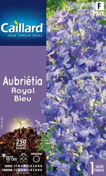 AUBRIETIA ROYAL BLEU AUBRIETIA ROYAL BLEU