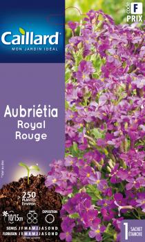 AUBRIETIA ROYAL ROUGE AUBRIETIA ROYAL ROUGE
