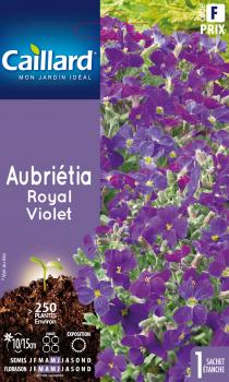 AUBRIETIA ROYAL VIOLET AUBRIETIA ROYAL VIOLET