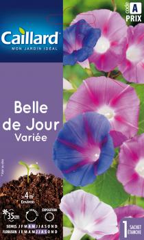 BELLE DE JOUR VARIEE BELLE DE JOUR VARIEE
