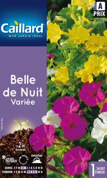 BELLE DE NUIT VARIEE BELLE DE NUIT VARIEE