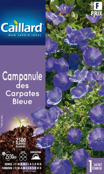 CAMPANULE DES CARPATES BLEUE CAMPANULE DES CARPATES BLEUE