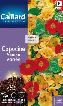 CAPUCINE ALASKA VARIEE CAPUCINE ALASKA VARIEE