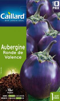 AUBERGINE RONDE DE VALENCE
