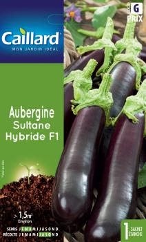 AUBERGINE SULTANE HYBRIDE F1