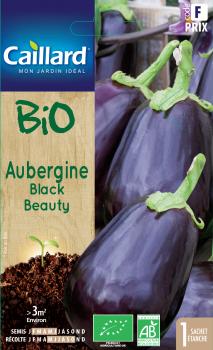 AUBERGINE BLACK BEAUTY