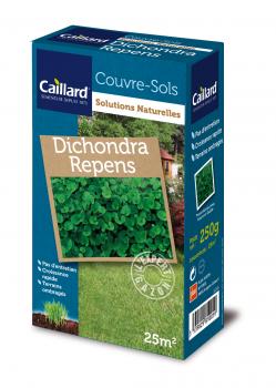 Couvre-sols  DICHONDRA