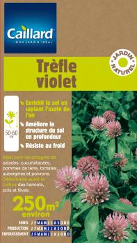 TREFLE VIOLET