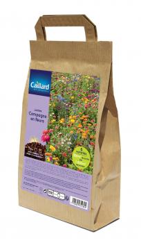 JACHERE CAMPAGNE EN FLEURS