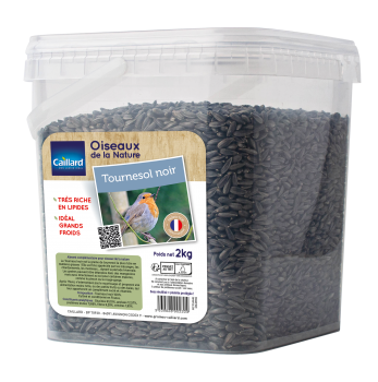 Tournesol Seau Noir