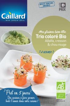 TRIO COLORE (cresson, alfalfa, chou rouge) A GERMER