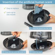 BG‐Homescent 1 mois Recharge 1 mois pour BG-Home