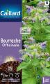 BOURRACHE OFFICINALE